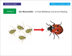 Keine Abbildung zugeordnet 